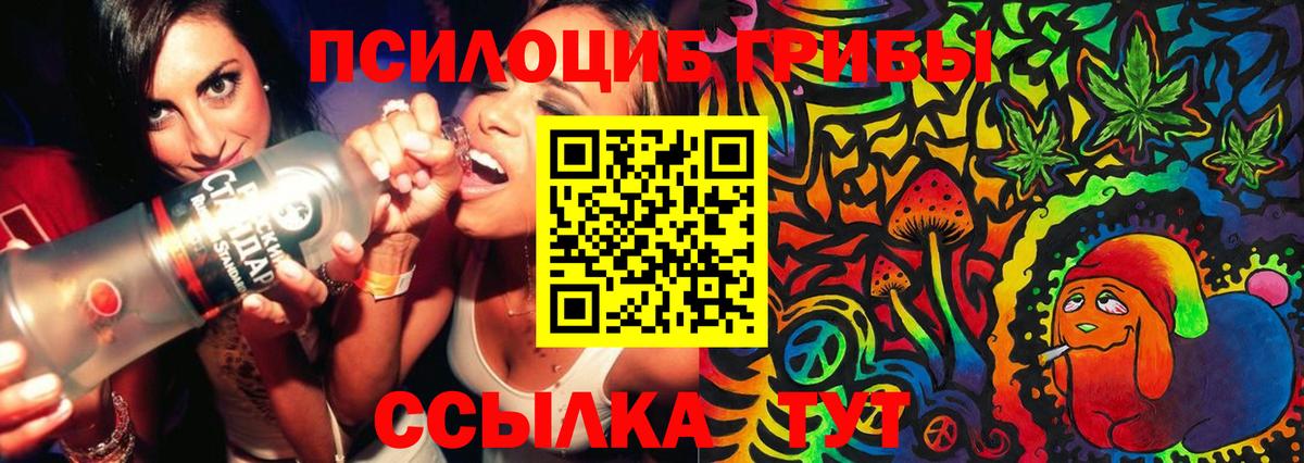 Псилоцибиновые грибы GOLDEN TEACHER  Вход с VPN  Артём 